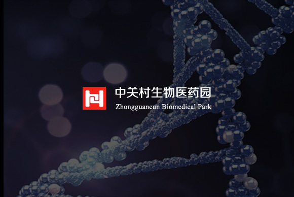 中關村生物醫藥園網站制作 